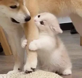 ❤️