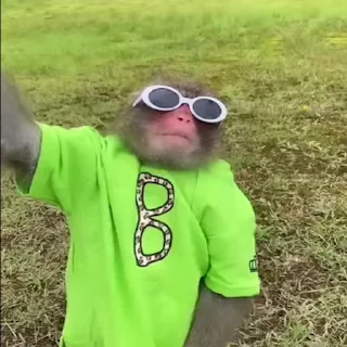 😎
