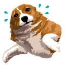 🐶
