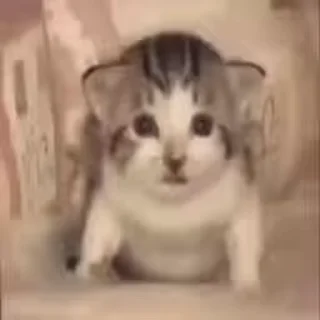 💣