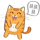 🐱