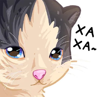 😹