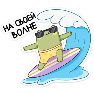 😎