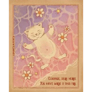 ✨