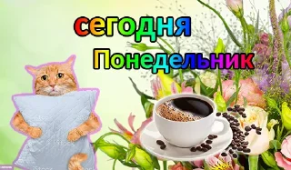Дни недели [ @rv0taenota ]