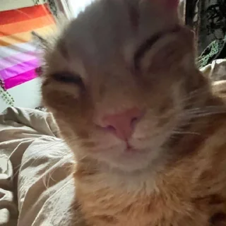 🤨