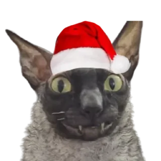 🎄