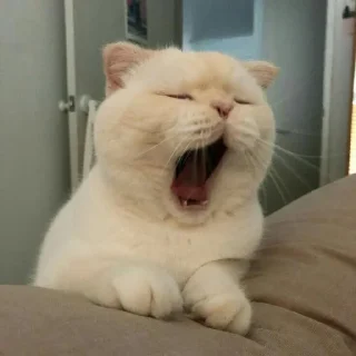 😍