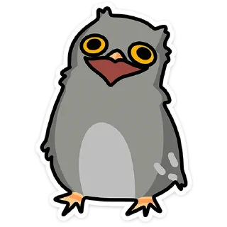 🦉