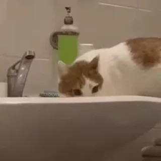 😡