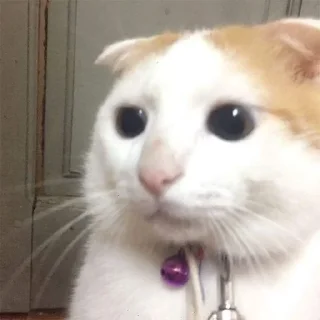 👀