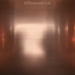 😼