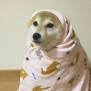 🥶