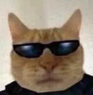 😎