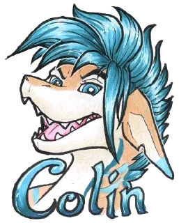 Small Shark @stickersb2b