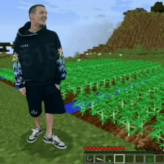 🌿