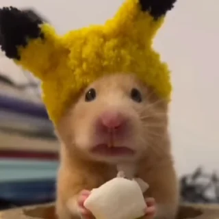 🐹