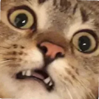 😄