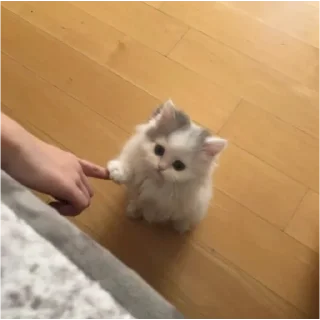 🤫