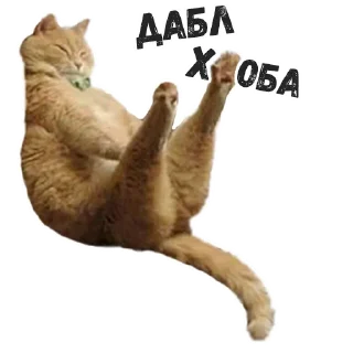 👆
