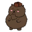 🐻