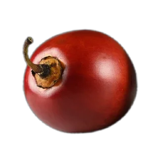 🍲
