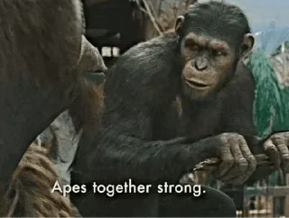 🐵