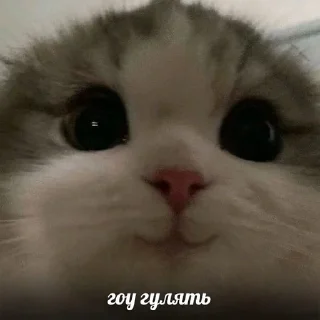 😋