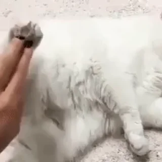 🤨