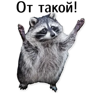 🤏