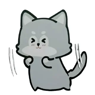 🐱