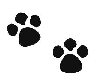 🐾