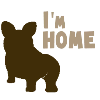 🏠