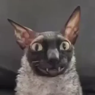 😃