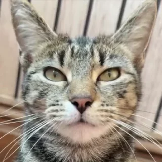 🤯