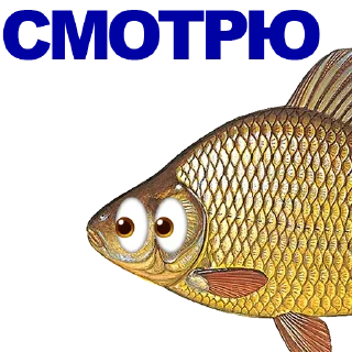 🐠