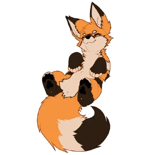 🦊