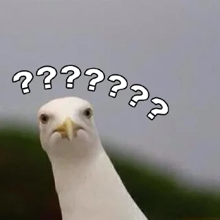 ❔