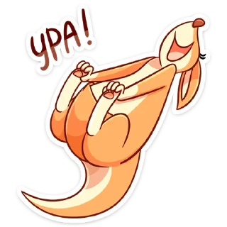 🎉