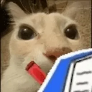 📔