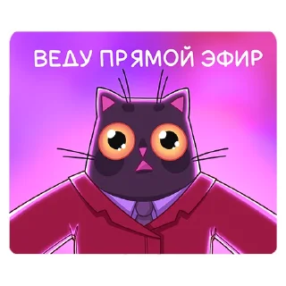 📹