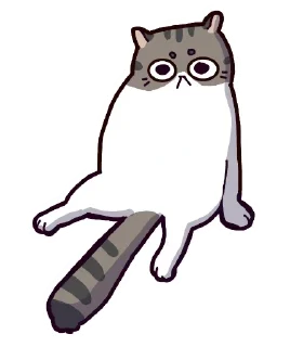 🐈