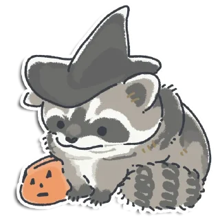 🦝