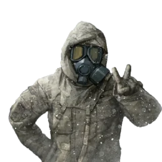 ✌