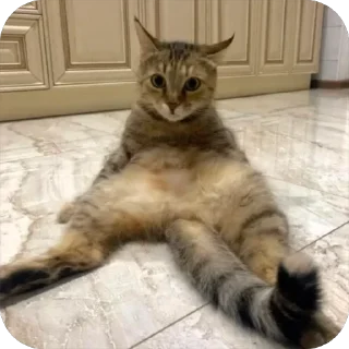 🤨