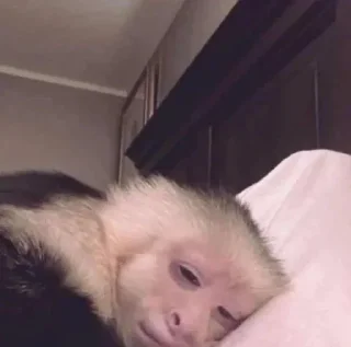 😴