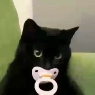 🍼