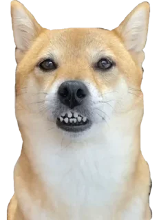 😲