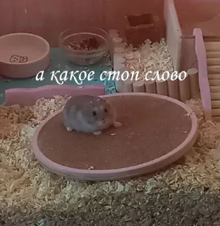 😱