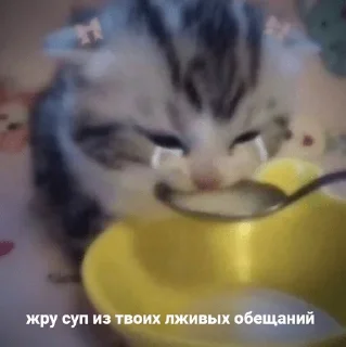 😭